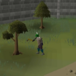 OSRS Woodcutting Guide